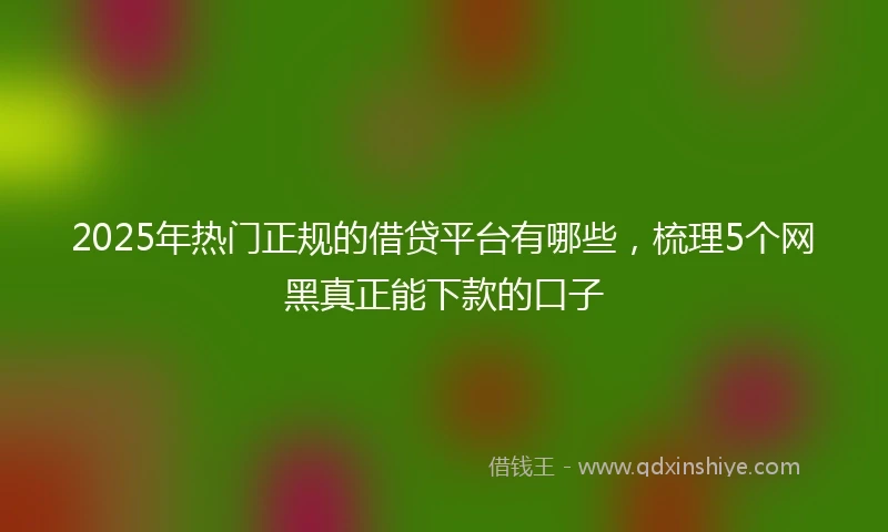 2025年热门正规的借贷平台有哪些，梳理5个网黑真正能下款的口子
