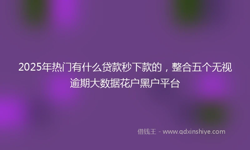 2025年热门有什么贷款秒下款的，整合五个无视逾期大数据花户黑户平台