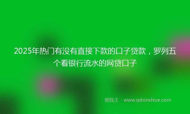 2025年热门有没有直接下款的口子贷款，罗列五个看银行流水的网贷口子