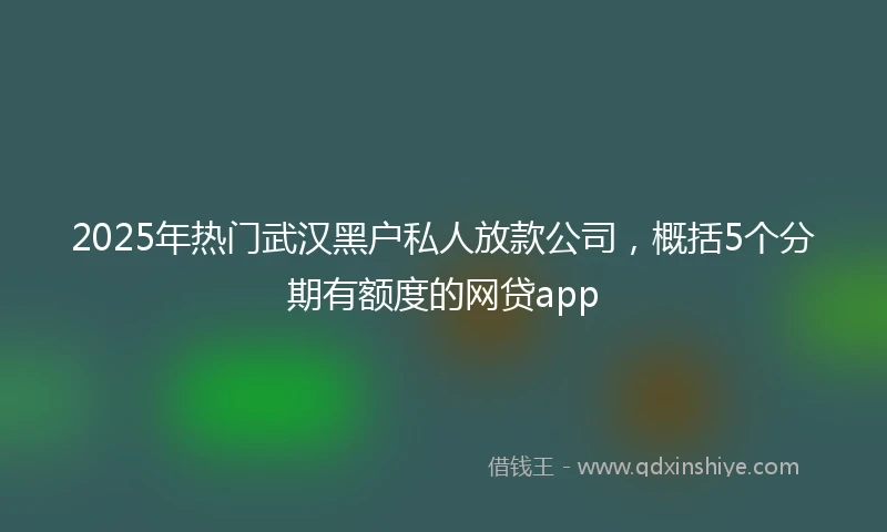 2025年热门武汉黑户私人放款公司，概括5个分期有额度的网贷app