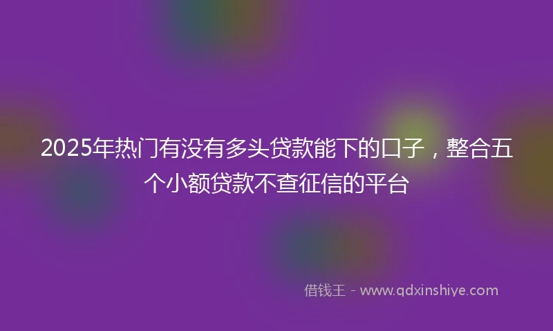 2025年热门有没有多头贷款能下的口子，整合五个小额贷款不查征信的平台