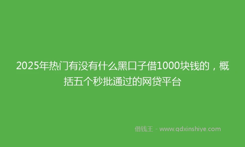 2025年热门有没有什么黑口子借1000块钱的，概括五个秒批通过的网贷平台