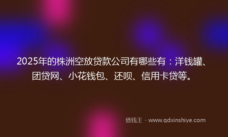 2025年的株洲空放贷款公司有哪些有：洋钱罐、团贷网、小花钱包、还呗、信用卡贷等。
