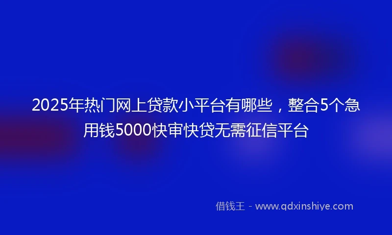 2025年热门网上贷款小平台有哪些，整合5个急用钱5000快审快贷无需征信平台