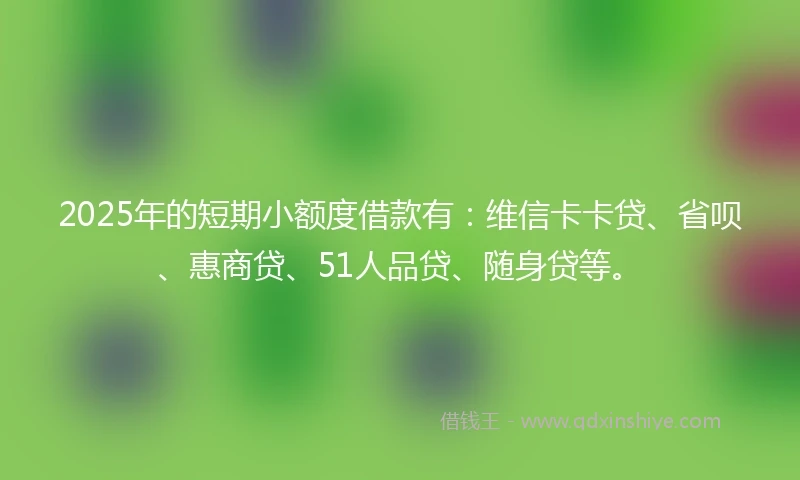 2025年的短期小额度借款有：维信卡卡贷、省呗、惠商贷、51人品贷、随身贷等。