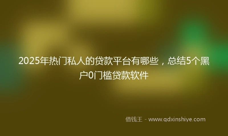 2025年热门私人的贷款平台有哪些，总结5个黑户0门槛贷款软件