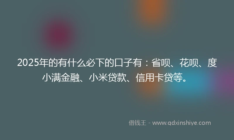 2025年的有什么必下的口子有：省呗、花呗、度小满金融、小米贷款、信用卡贷等。