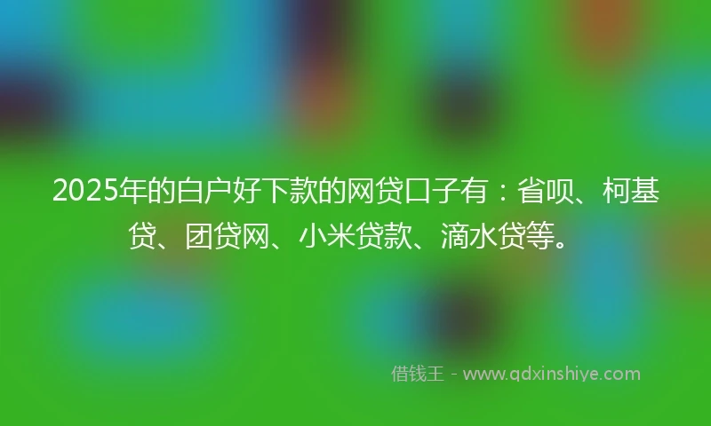 2025年的白户好下款的网贷口子有：省呗、柯基贷、团贷网、小米贷款、滴水贷等。