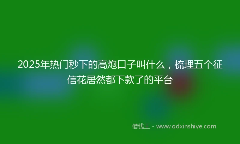 2025年热门秒下的高炮口子叫什么，梳理五个征信花居然都下款了的平台