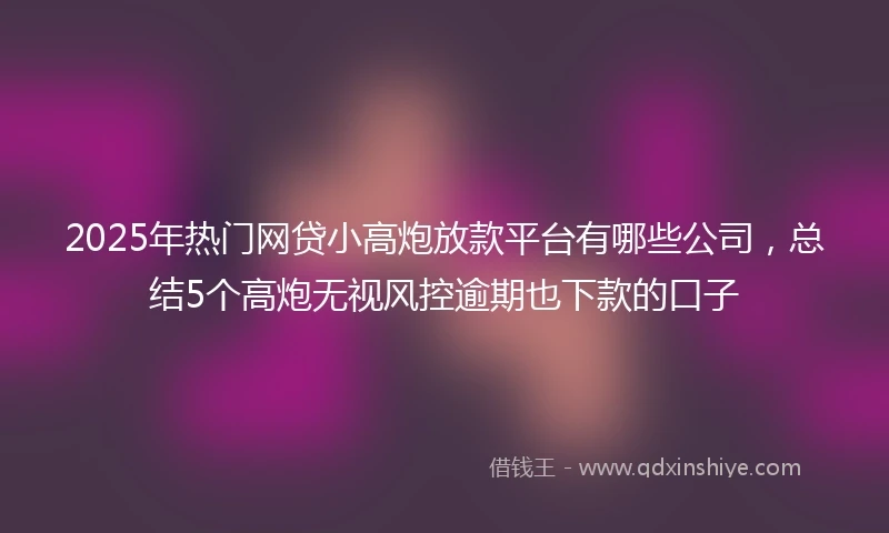 2025年热门网贷小高炮放款平台有哪些公司，总结5个高炮无视风控逾期也下款的口子