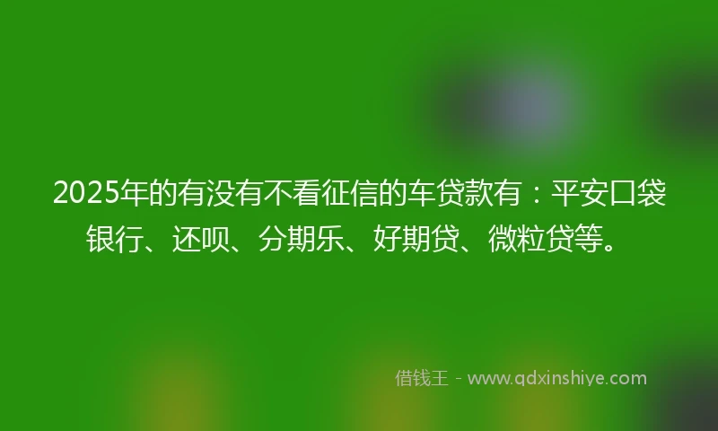 2025年的有没有不看征信的车贷款有：平安口袋银行、还呗、分期乐、好期贷、微粒贷等。