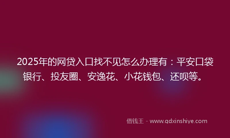 2025年的网贷入口找不见怎么办理有：平安口袋银行、投友圈、安逸花、小花钱包、还呗等。
