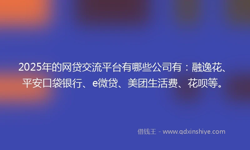 2025年的网贷交流平台有哪些公司有：融逸花、平安口袋银行、e微贷、美团生活费、花呗等。