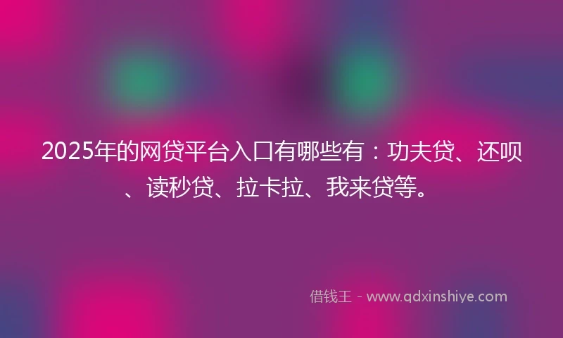 2025年的网贷平台入口有哪些有：功夫贷、还呗、读秒贷、拉卡拉、我来贷等。