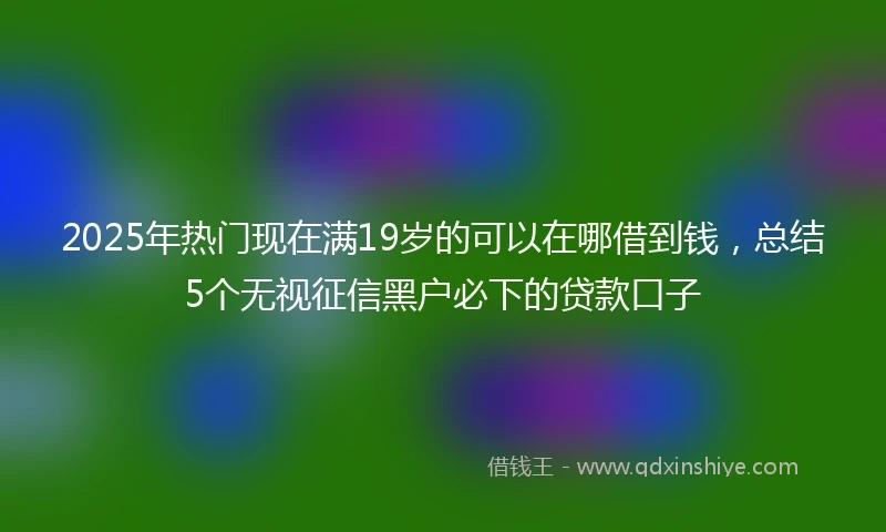 2025年热门现在满19岁的可以在哪借到钱，总结5个无视征信黑户必下的贷款口子