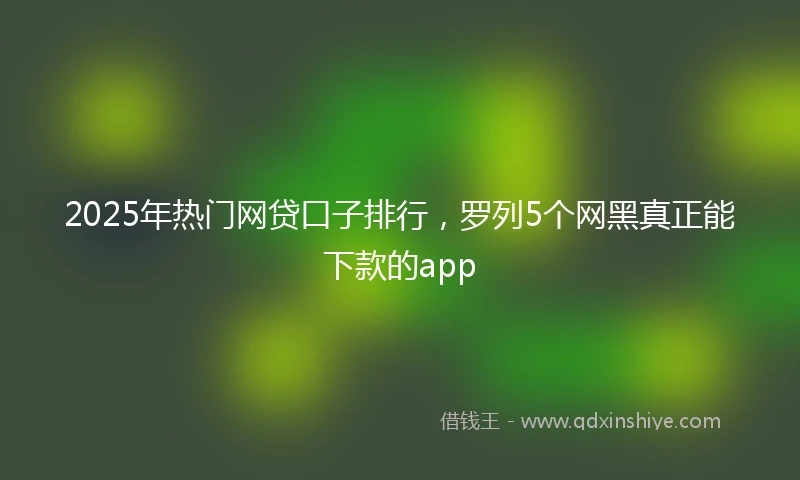 2025年热门网贷口子排行，罗列5个网黑真正能下款的app