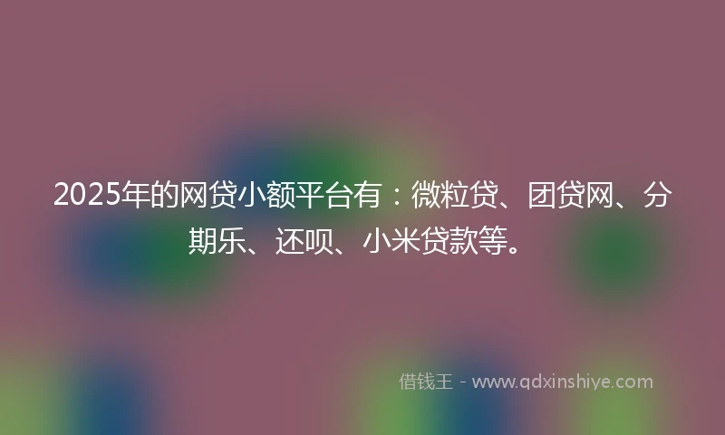 2025年的网贷小额平台有：微粒贷、团贷网、分期乐、还呗、小米贷款等。