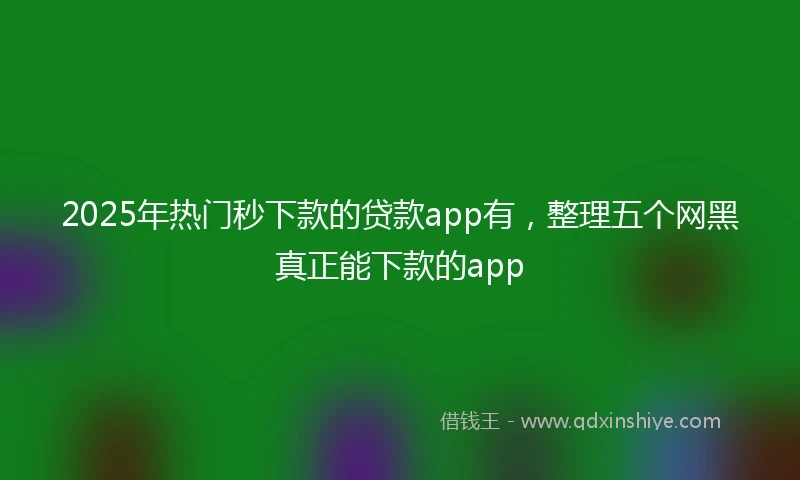 2025年热门秒下款的贷款app有，整理五个网黑真正能下款的app