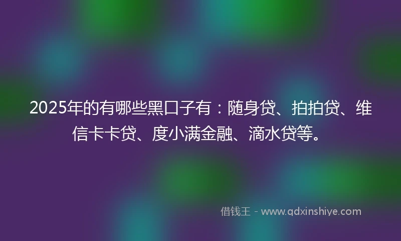 2025年的有哪些黑口子有：随身贷、拍拍贷、维信卡卡贷、度小满金融、滴水贷等。