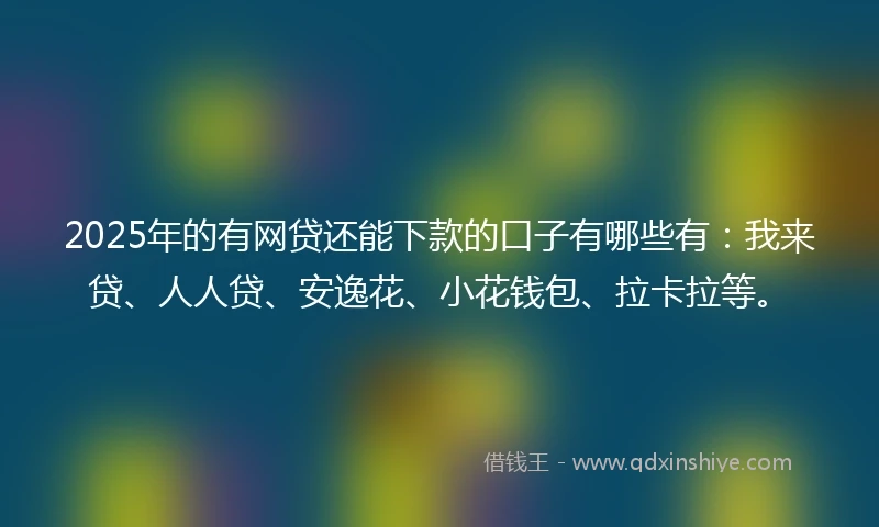 2025年的有网贷还能下款的口子有哪些有：我来贷、人人贷、安逸花、小花钱包、拉卡拉等。
