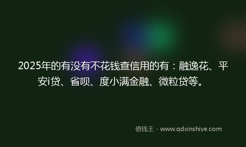 2025年的有没有不花钱查信用的有：融逸花、平安i贷、省呗、度小满金融、微粒贷等。