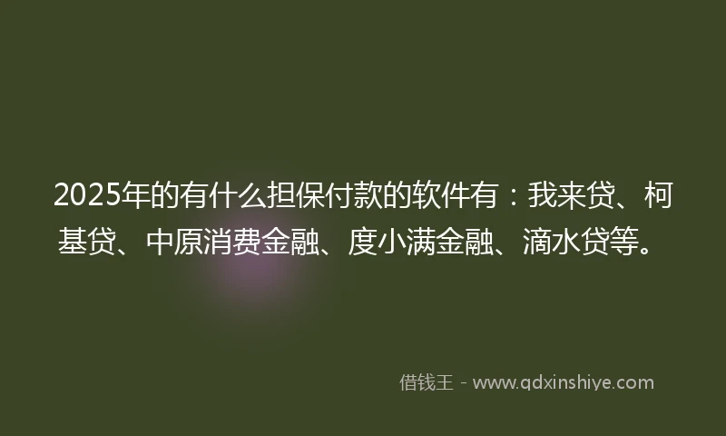 2025年的有什么担保付款的软件有：我来贷、柯基贷、中原消费金融、度小满金融、滴水贷等。