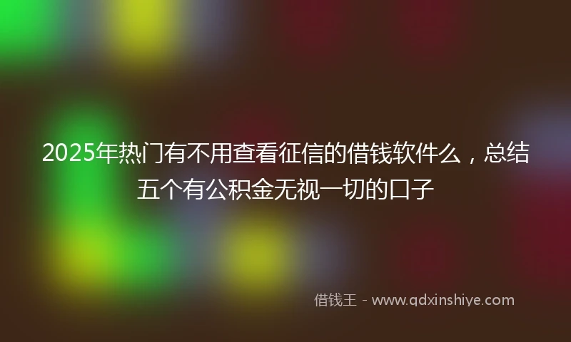 2025年热门有不用查看征信的借钱软件么，总结五个有公积金无视一切的口子