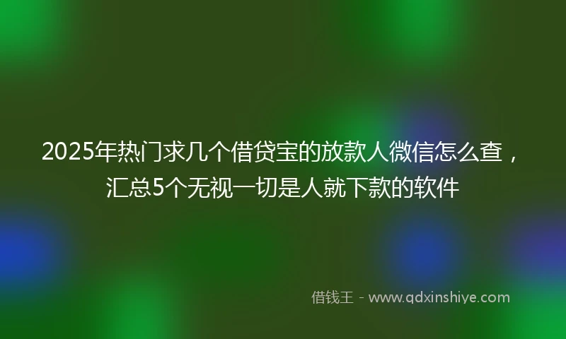 2025年热门求几个借贷宝的放款人微信怎么查，汇总5个无视一切是人就下款的软件