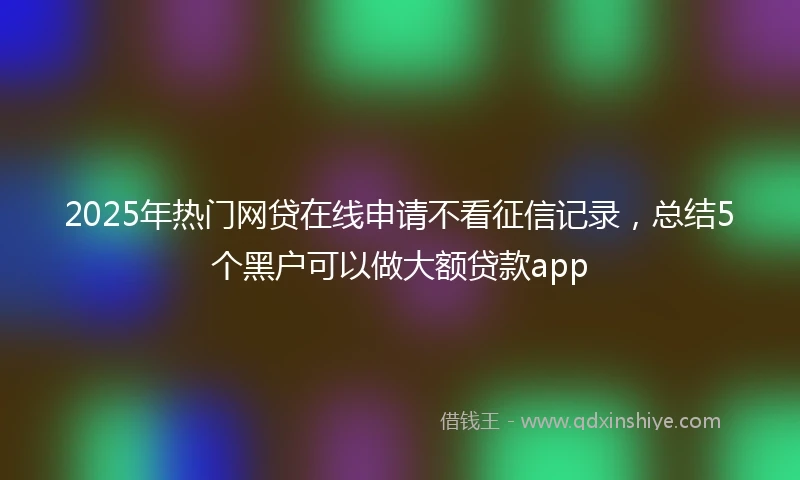 2025年热门网贷在线申请不看征信记录，总结5个黑户可以做大额贷款app