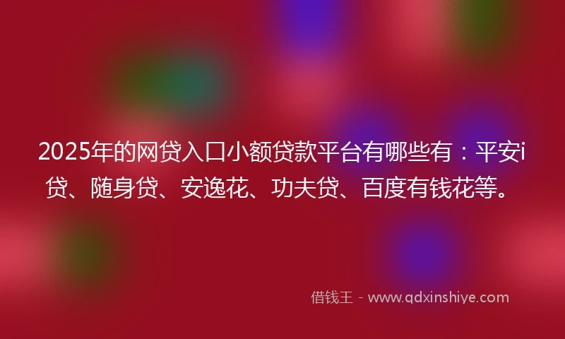 2025年的网贷入口小额贷款平台有哪些有：平安i贷、随身贷、安逸花、功夫贷、百度有钱花等。
