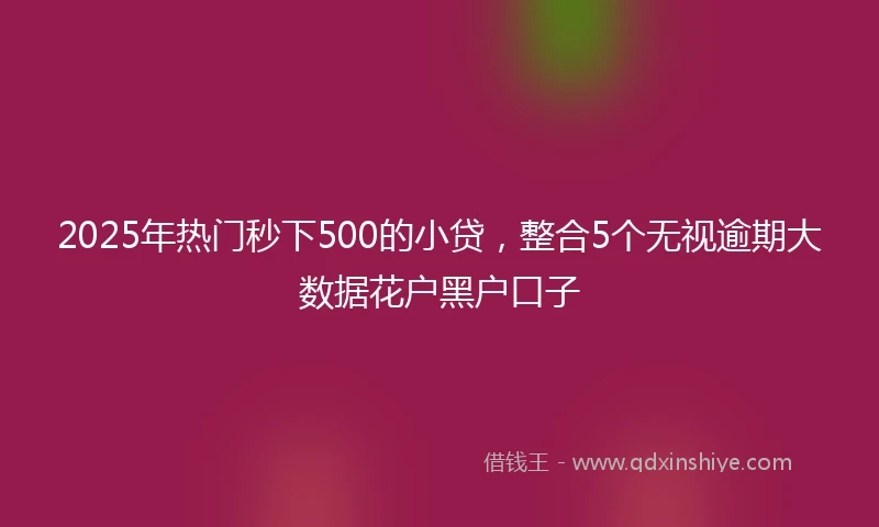 2025年热门秒下500的小贷，整合5个无视逾期大数据花户黑户口子