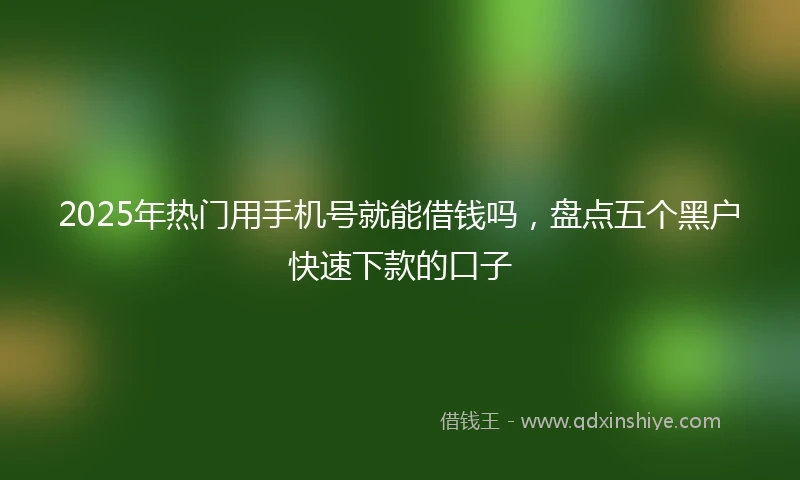 2025年热门用手机号就能借钱吗，盘点五个黑户快速下款的口子