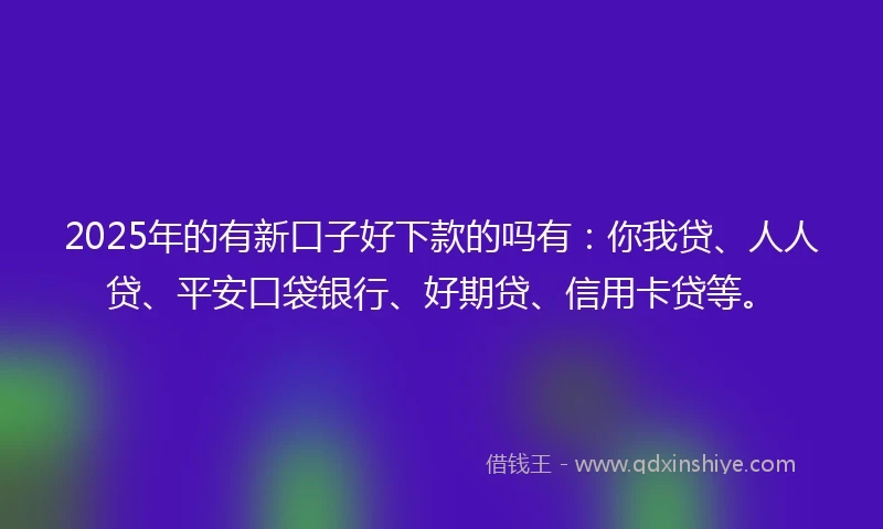 2025年的有新口子好下款的吗有：你我贷、人人贷、平安口袋银行、好期贷、信用卡贷等。