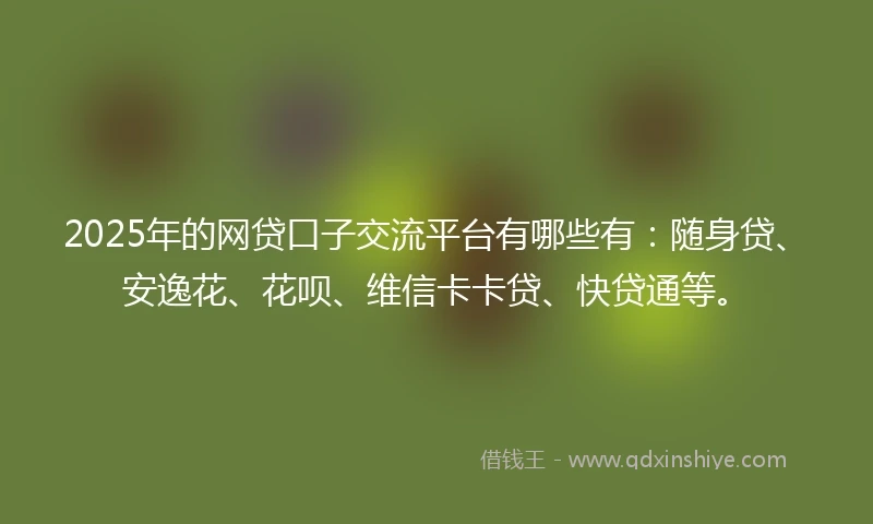 2025年的网贷口子交流平台有哪些有：随身贷、安逸花、花呗、维信卡卡贷、快贷通等。
