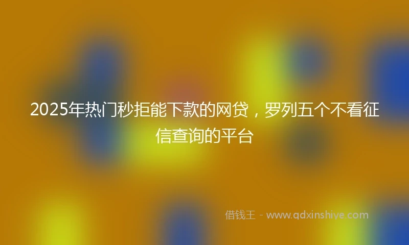 2025年热门秒拒能下款的网贷，罗列五个不看征信查询的平台
