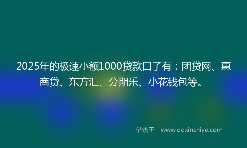 2025年的极速小额1000贷款口子有：团贷网、惠商贷、东方汇、分期乐、小花钱包等。