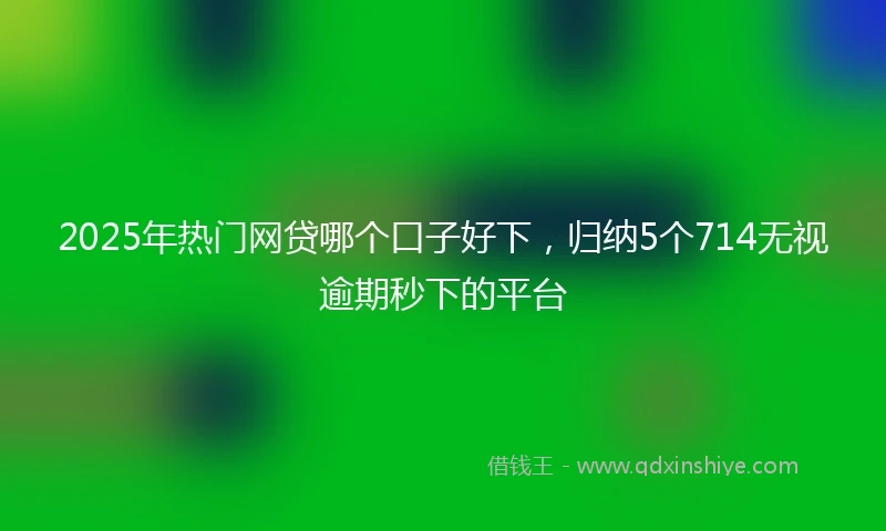 2025年热门网贷哪个口子好下，归纳5个714无视逾期秒下的平台