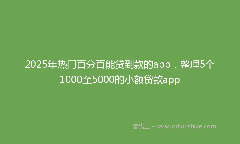 2025年热门百分百能贷到款的app，整理5个1000至5000的小额贷款app