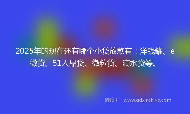 2025年的现在还有哪个小贷放款有：洋钱罐、e微贷、51人品贷、微粒贷、滴水贷等。