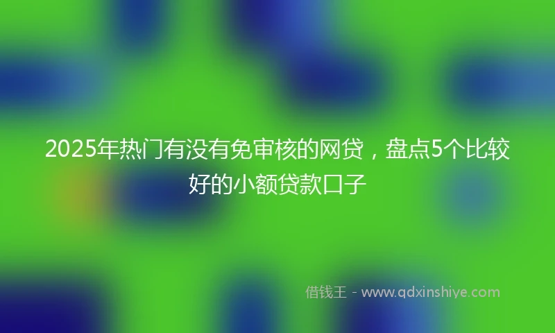2025年热门有没有免审核的网贷，盘点5个比较好的小额贷款口子