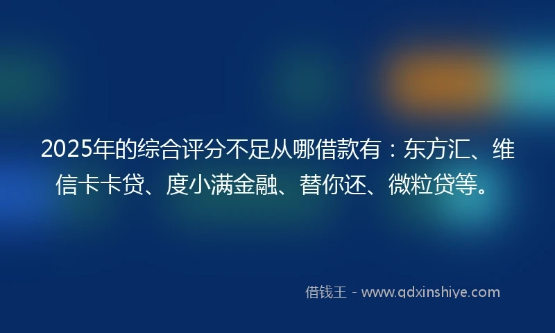 2025年的综合评分不足从哪借款有：东方汇、维信卡卡贷、度小满金融、替你还、微粒贷等。