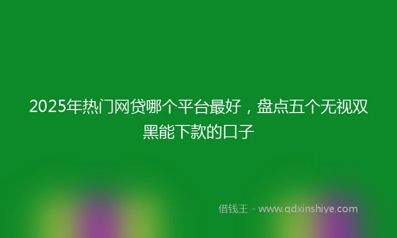 2025年热门网贷哪个平台最好，盘点五个无视双黑能下款的口子