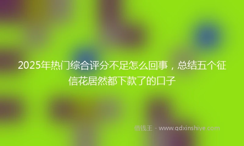 2025年热门综合评分不足怎么回事，总结五个征信花居然都下款了的口子