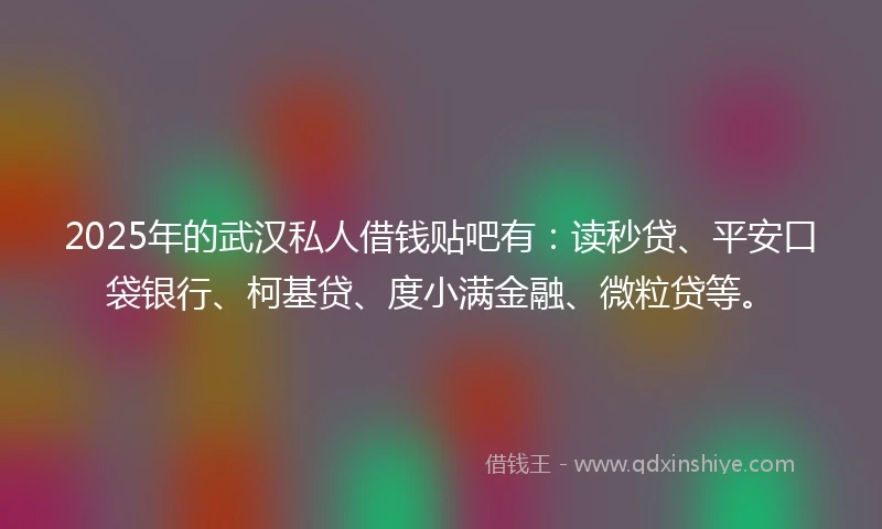 2025年的武汉私人借钱贴吧有：读秒贷、平安口袋银行、柯基贷、度小满金融、微粒贷等。