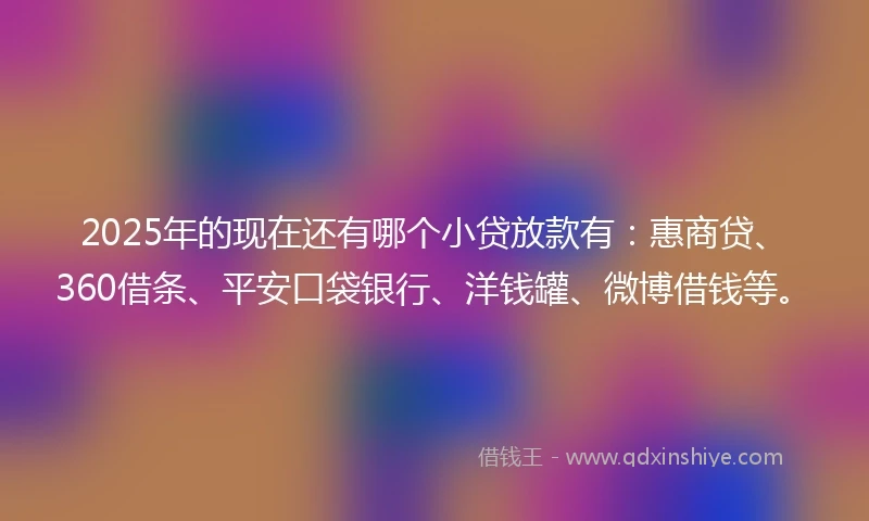 2025年的现在还有哪个小贷放款有：惠商贷、360借条、平安口袋银行、洋钱罐、微博借钱等。