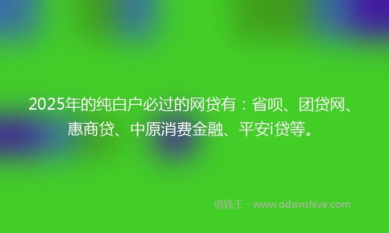 2025年的纯白户必过的网贷有：省呗、团贷网、惠商贷、中原消费金融、平安i贷等。