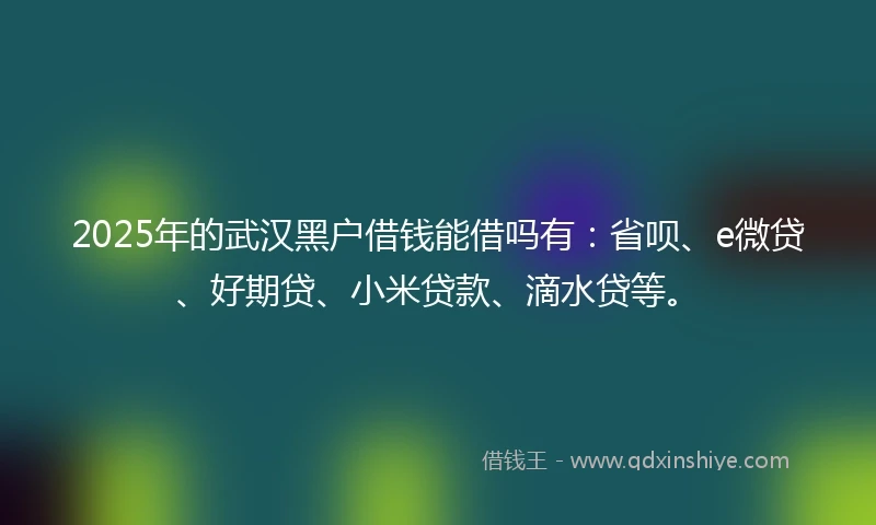 2025年的武汉黑户借钱能借吗有：省呗、e微贷、好期贷、小米贷款、滴水贷等。