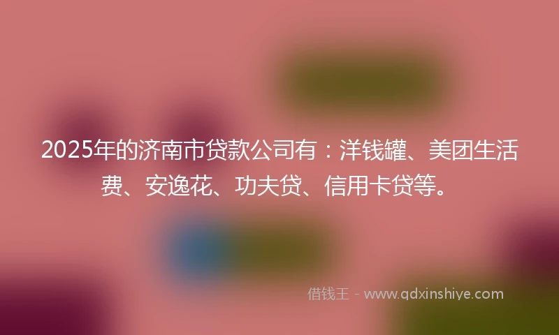2025年的济南市贷款公司有：洋钱罐、美团生活费、安逸花、功夫贷、信用卡贷等。