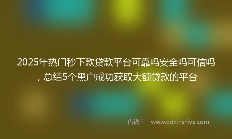 2025年热门秒下款贷款平台可靠吗安全吗可信吗，总结5个黑户成功获取大额贷款的平台
