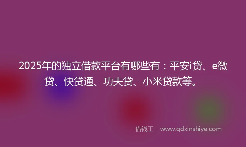 2025年的独立借款平台有哪些有：平安i贷、e微贷、快贷通、功夫贷、小米贷款等。